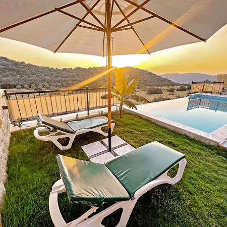 Toucan Kaş